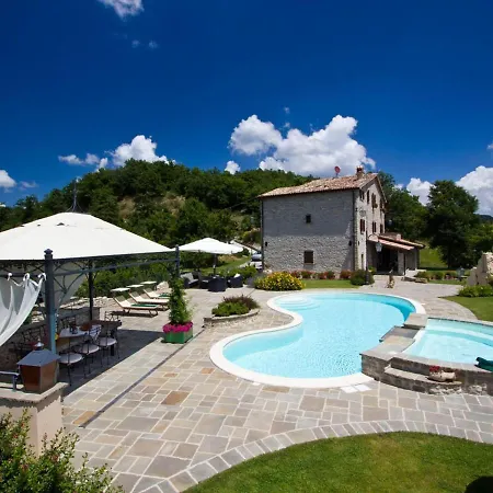 Amazing In With Swimming Pool